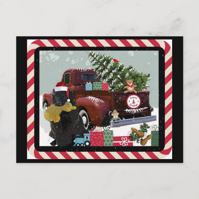 Newfoundland jul helg vykort (Framsida)