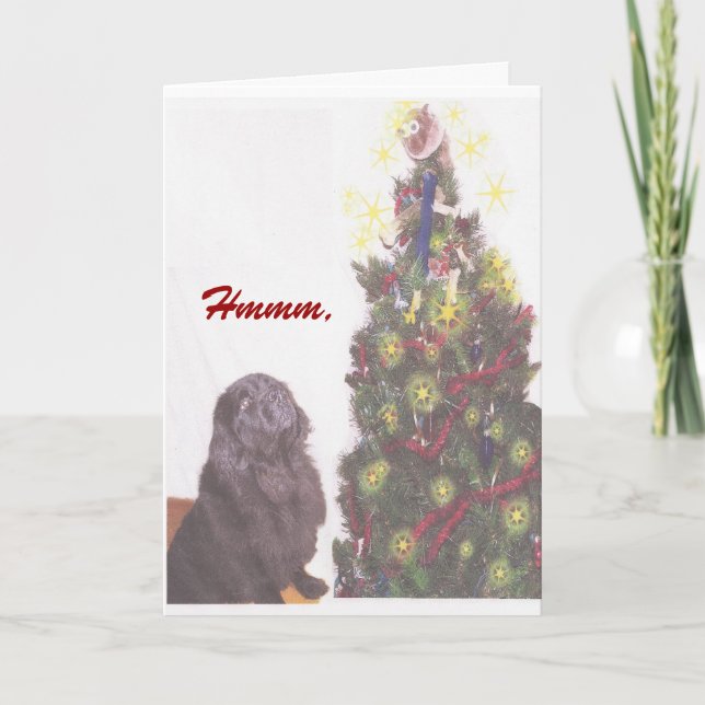 Newfoundland-julkort Helgkort (Framsida)