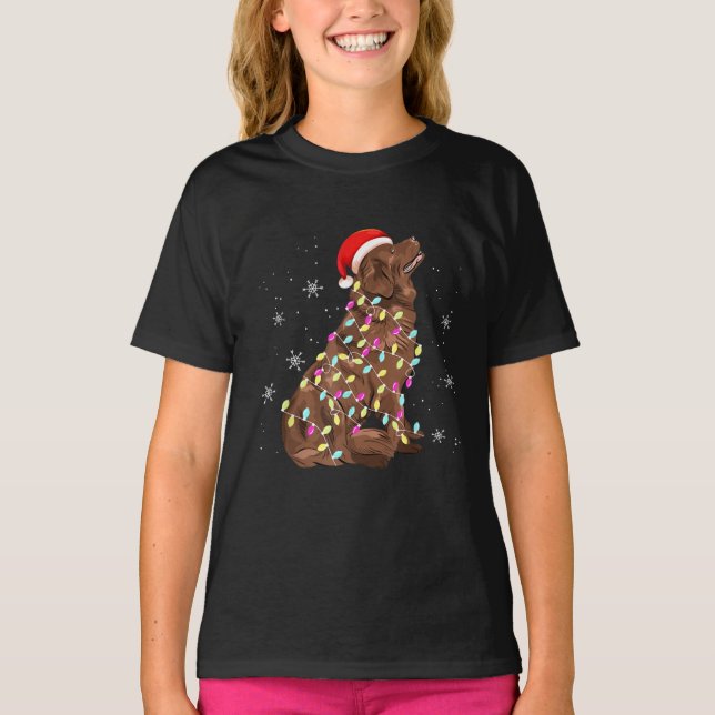 Newfoundland - Julljus | ROLIG HUND ÄLSKARE T Shirt (Framsida)