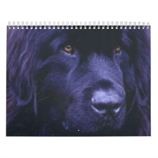 Newfoundland kalender