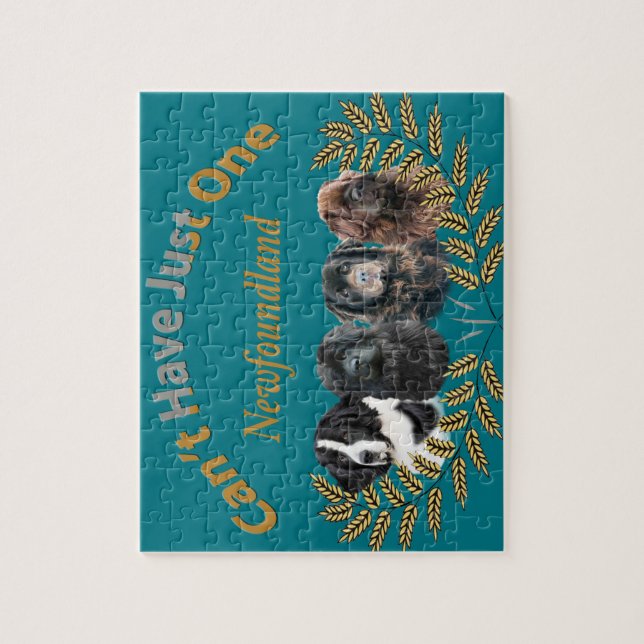 Newfoundland kan inte ha precis en pussel (Vertikal)