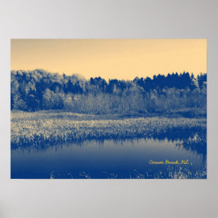 Newfoundland, Kanada, Marshlands Träd och Vatten Poster
