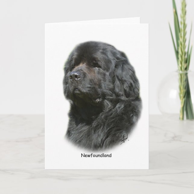 Newfoundland Kort (Framsida)