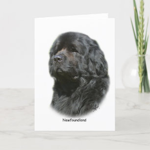 Newfoundland Kort