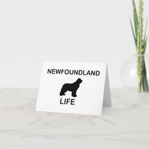 Newfoundland Kort
