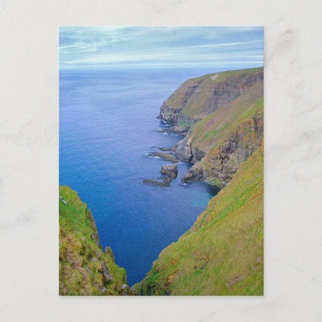 Newfoundland Kusten Vykort (Framsida)