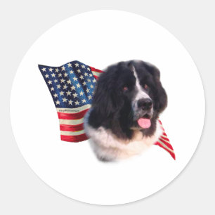 Newfoundland (landseer) flagga runt klistermärke