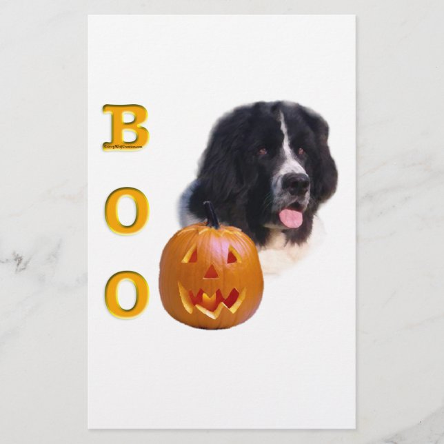 Newfoundland Landseer Halloween Boo (Framsida)