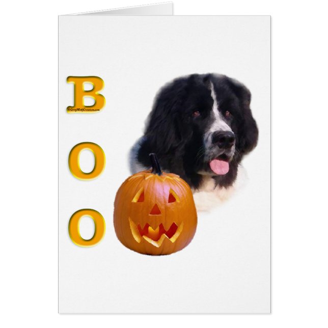 Newfoundland (landseer) Halloween Boo Hälsningskort (Framsidan)