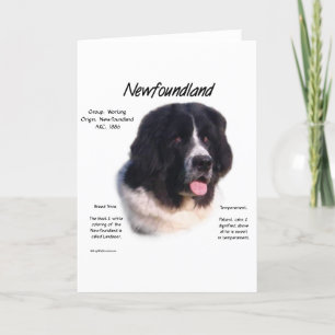 Newfoundland (landseer) historiedesign kort
