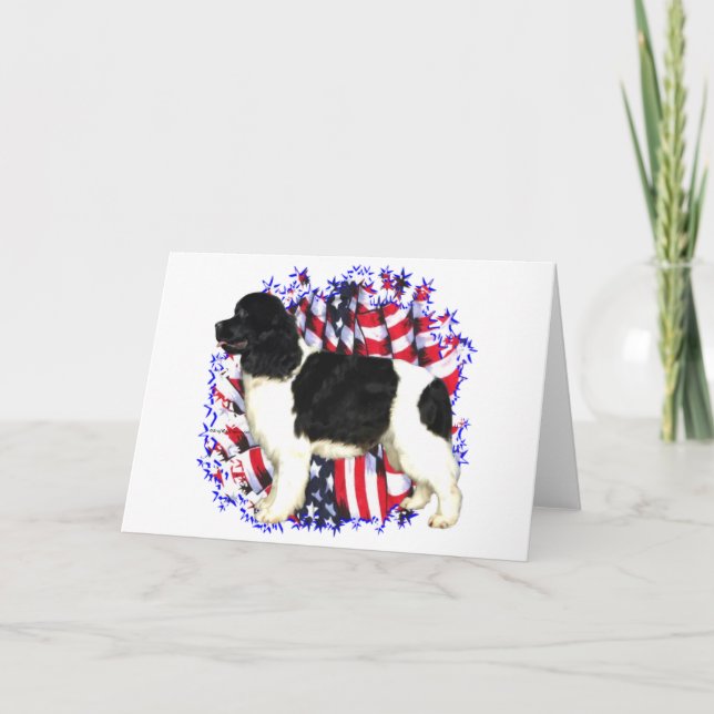 Newfoundland (landseer) patriot kort (Framsida)
