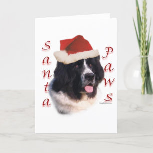 Newfoundland (landseer) Santa tafsar Helgkort