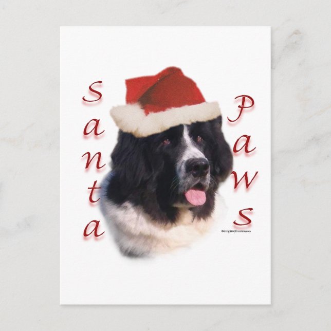Newfoundland (Landseer) Santa Tassar Helg Vykort (Framsida)