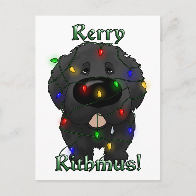 Newfoundland Ljus Helg Vykort (Framsida)