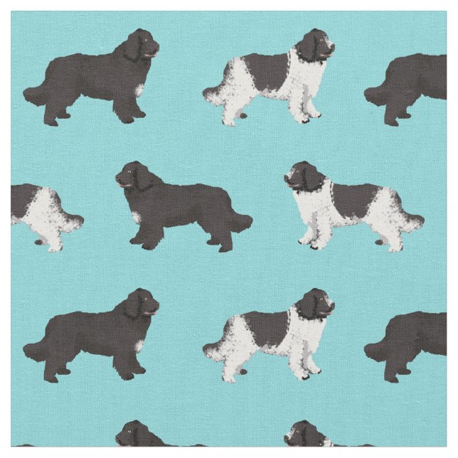 Newfoundland, ljusblå hund tyg (Närbild)