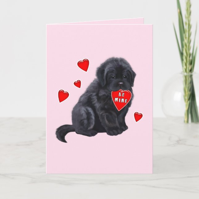 Newfoundland med hjärthjärthjärtans dag helgkort (Framsida)