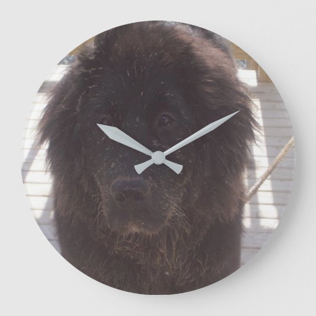 Newfoundland Muddy Valp Stor Klocka (Framsida)