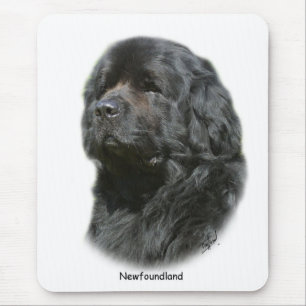 Newfoundland Musmatta