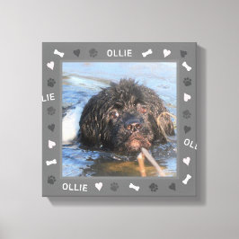 Newfoundland Newfie Photo och Namn Canvastryck