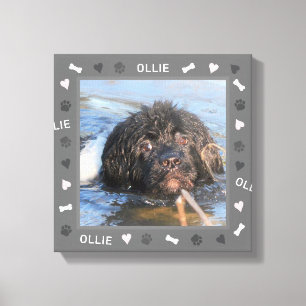 Newfoundland Newfie Photo och Namn Canvastryck