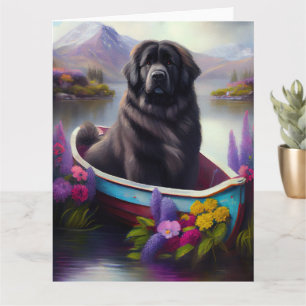 Newfoundland på en Paddle: En Scenia Äventyr Kort