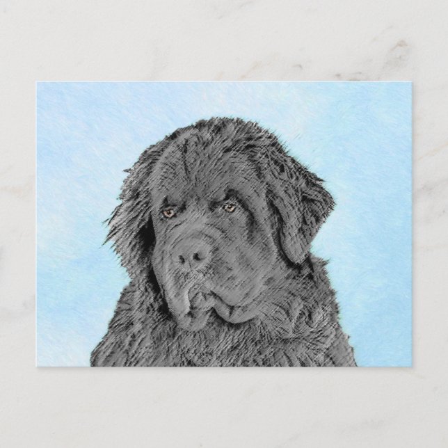 Newfoundland Painting - Cute Original Hund Art Vykort (Framsida)