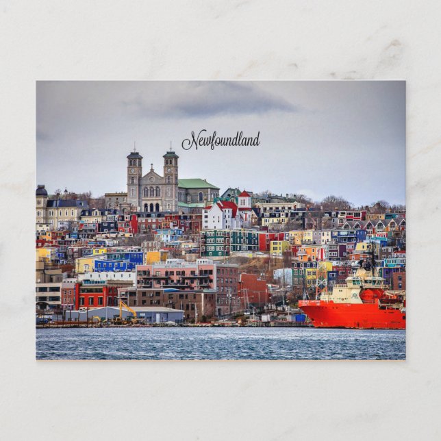 Newfoundland, panorama stadsbildsfoto vykort (Framsida)