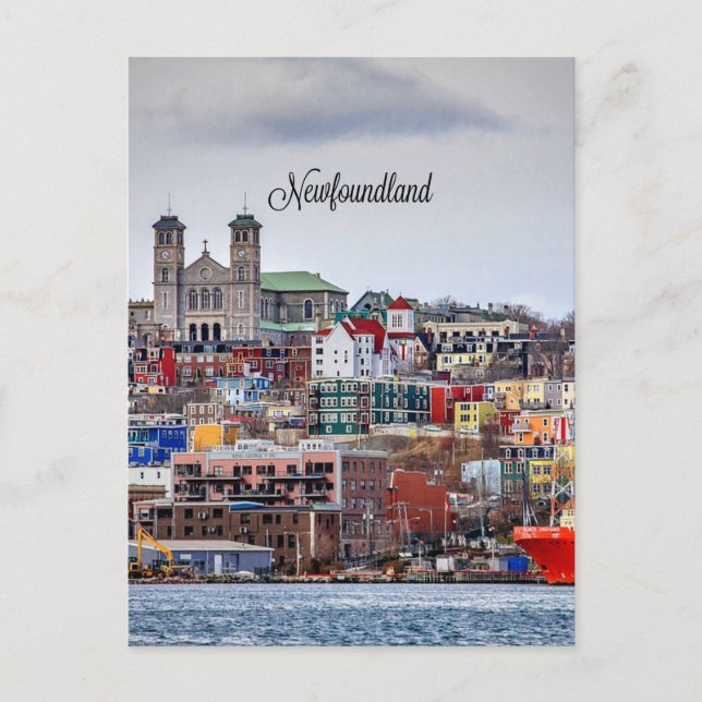 Newfoundland, panoramisk cityscape-fotografi, vykort (Framsida)