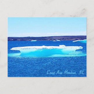 Newfoundland Postcard Vykort