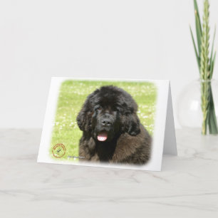 Newfoundland Puppy9T086D-104 Kort