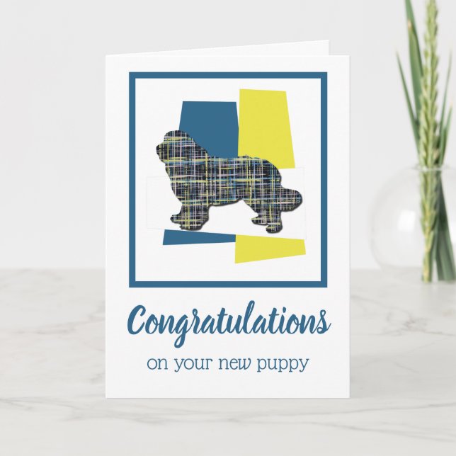 Newfoundland Puppy Hund Grattis Hälsning Kort (Framsida)