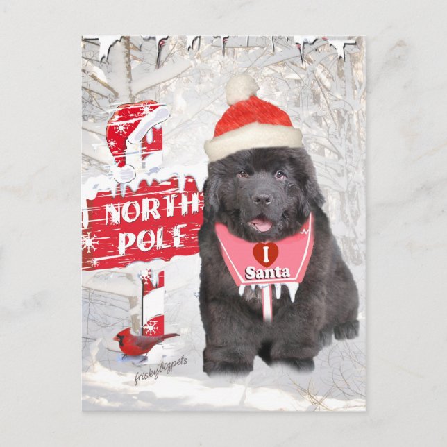 Newfoundland Puppy Kärlek julkort Helg Vykort (Framsida)