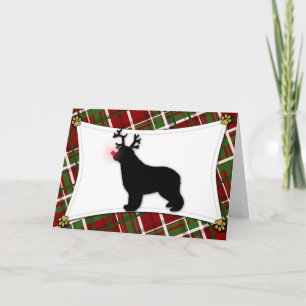 Newfoundland Reindeer julkort Helgkort