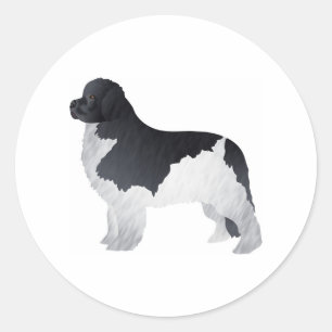 Newfoundland Runt Klistermärke