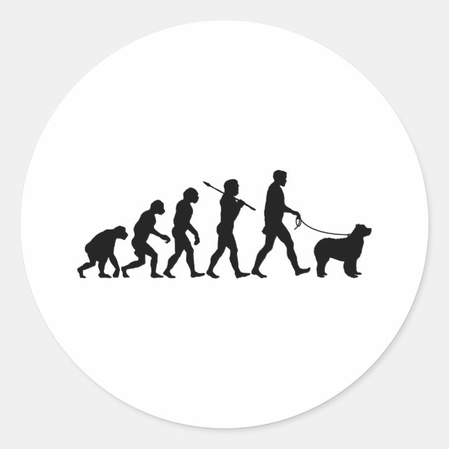 Newfoundland Runt Klistermärke (Framsida)