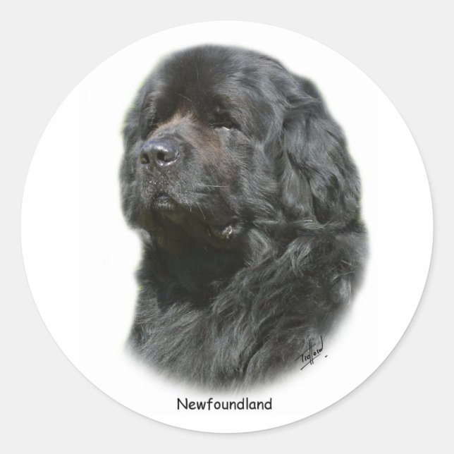 Newfoundland Runt Klistermärke (Framsida)