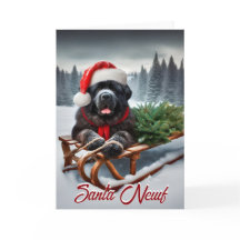 Newfoundland Santa Newf Helgdag Card