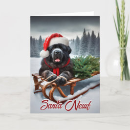 Newfoundland Santa Newf Helgdag Card Helgkort