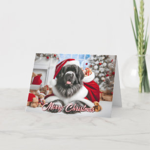 Newfoundland Santa Redo för julkort Helgkort