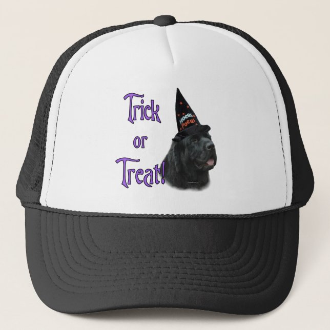 Newfoundland (svart) Trick Truckerkeps (Framsida)