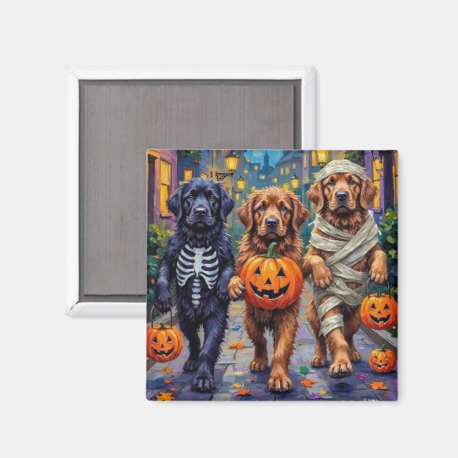 Newfoundland Trick-or-Treating Halloween Costumes Magnet (Front/Back)