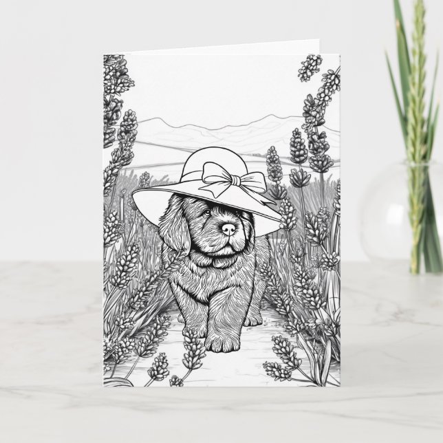 Newfoundland-valp i ett fält med lavendelblommor kort (Framsida)