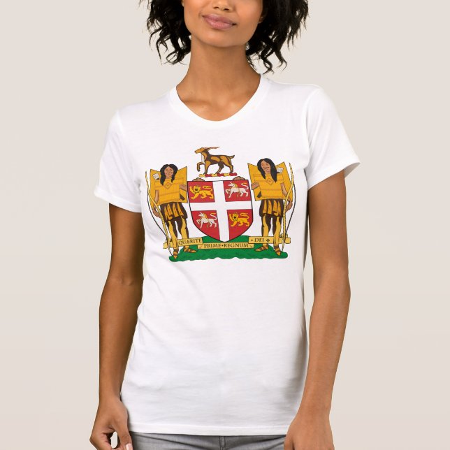 Newfoundland vapensköldT-tröja T-shirt (Framsida)