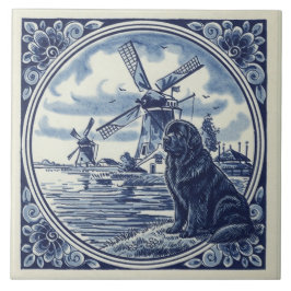 Newfoundland vid de holländska väderkvarnarna kakelplatta