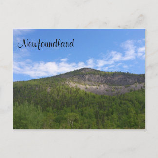 Newfoundland Vykort