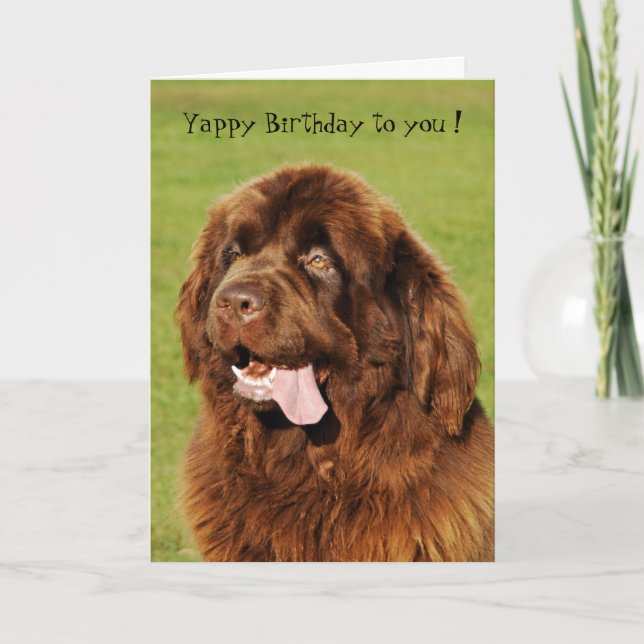 Newfoundland Yappy födelsedagkort Kort (Framsida)