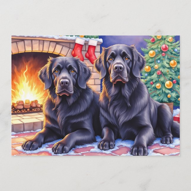 Newfoundlander Christmas Card Julkort (Framsida)