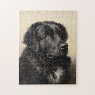 Newfoundlands hund vintage realistisk färg pussel