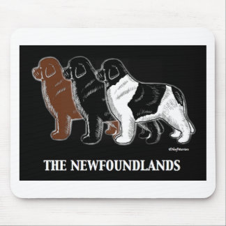 Newfoundlandsen Musmatta