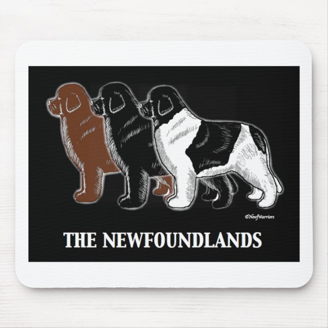Newfoundlandsen Musmatta (Framsidan)